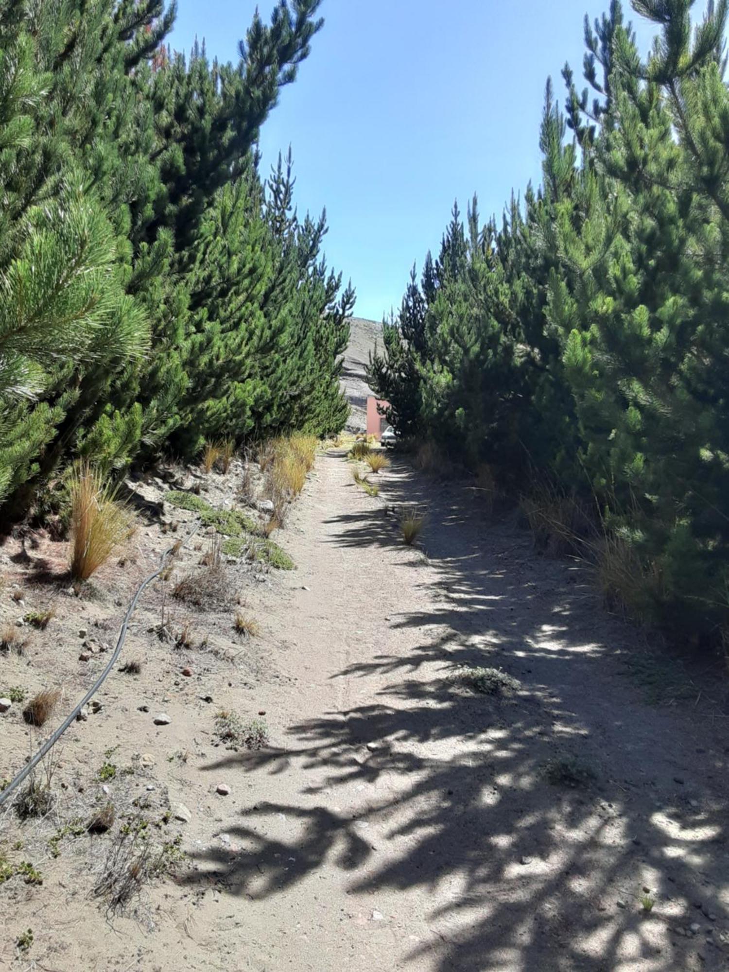 Hospedaje Chimborazo Esterno foto